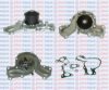 AQUAPLUS 85-7920 Water Pump